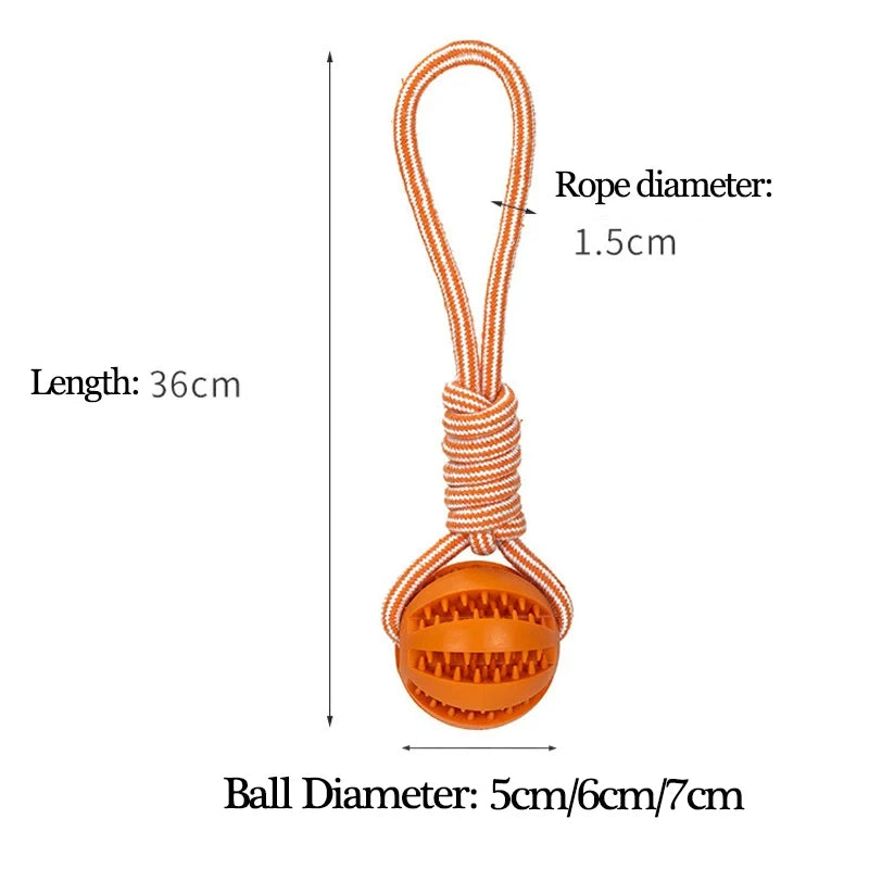 Scc6a278a53c74e5aafc15b8e35d4f2c4r